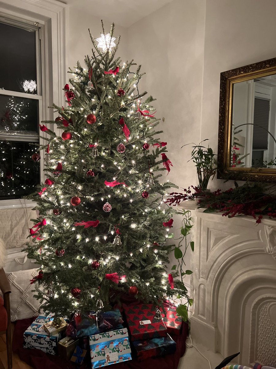 Amy Vinciguerra tweet media