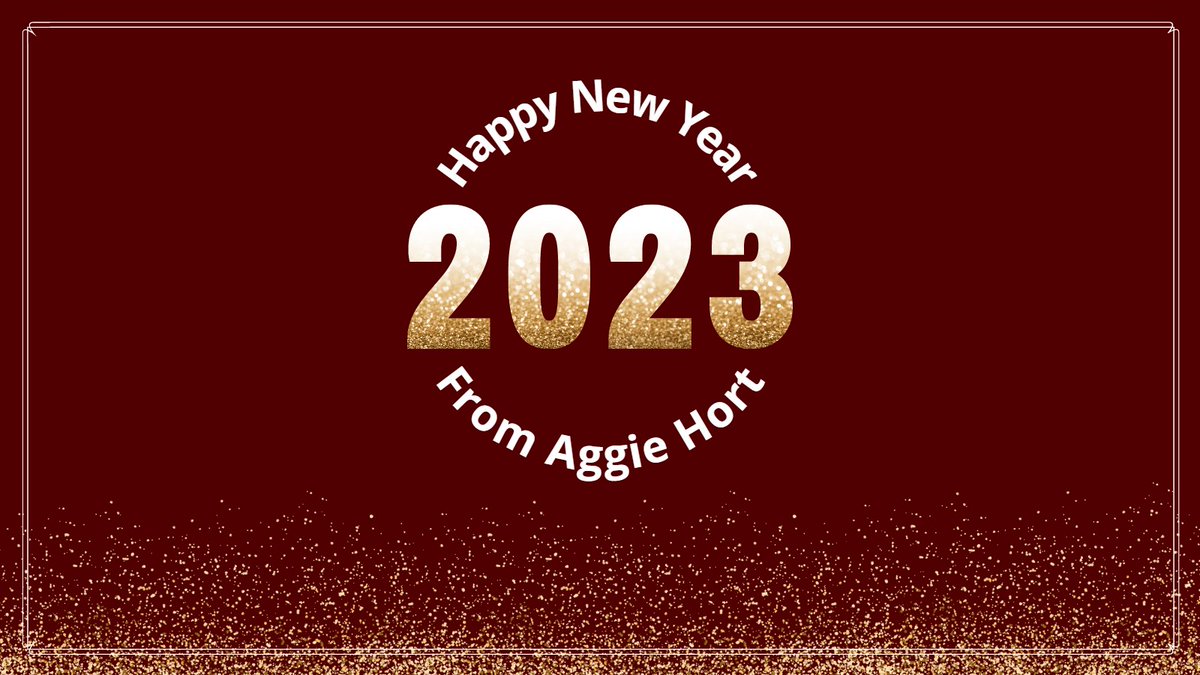 Happy New Year &amp; Howdy 2023! ✨🥂