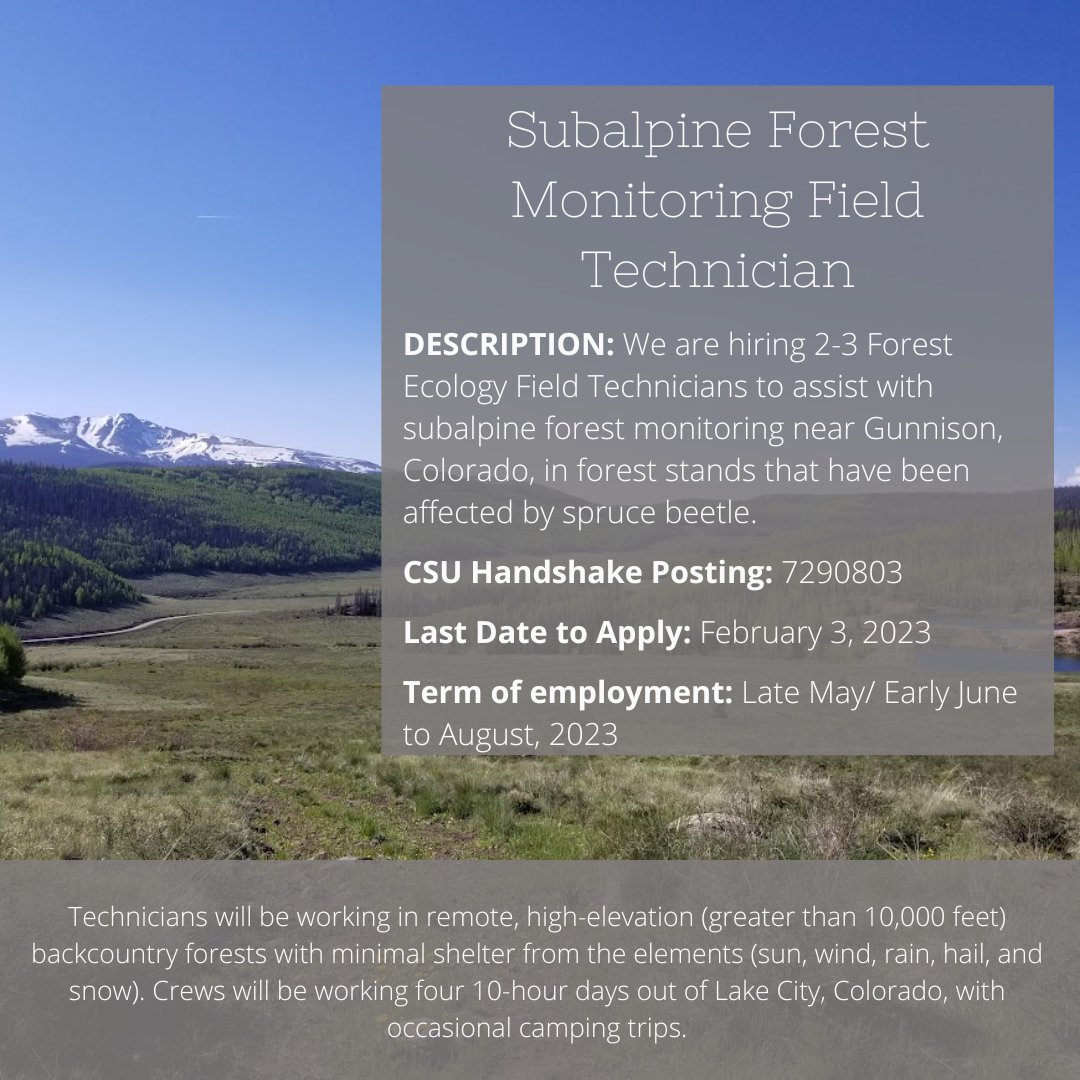 It's that time of year again! We are hiring for our summer 2023 field season! 

Swipe to see the variety of positions we are hiring for. Detailed information about each position can be found at the Handshake posting.