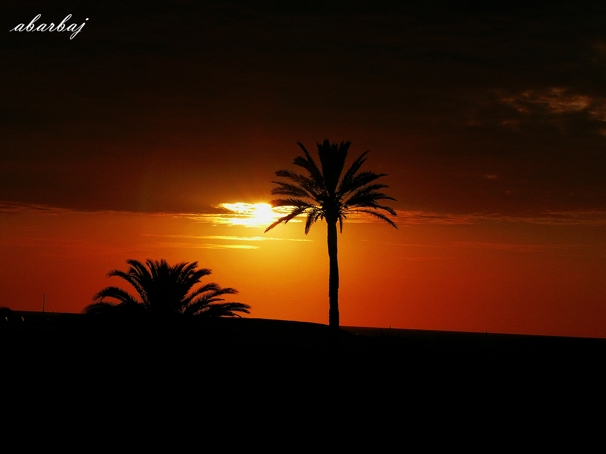 antoniobarbaj's tweet photo. Puesta de Sol desde Sanlúcar de Barrameda, esta es la que os pongo esta noche.
#Sanlucar #Barrameda #SanlucardeBarrameda https://t.co/ciwNYu9zGJ