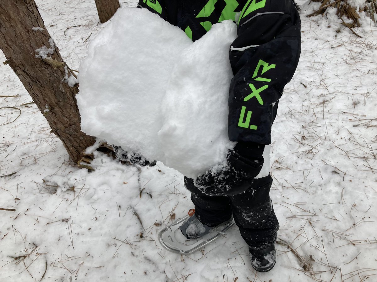 LoomisCentre's tweet photo. Crusty snow layer made some great structure building materials during our snowshoe hike @theHillsPS great job gr 3/4! https://t.co/o3ygGpqlG7