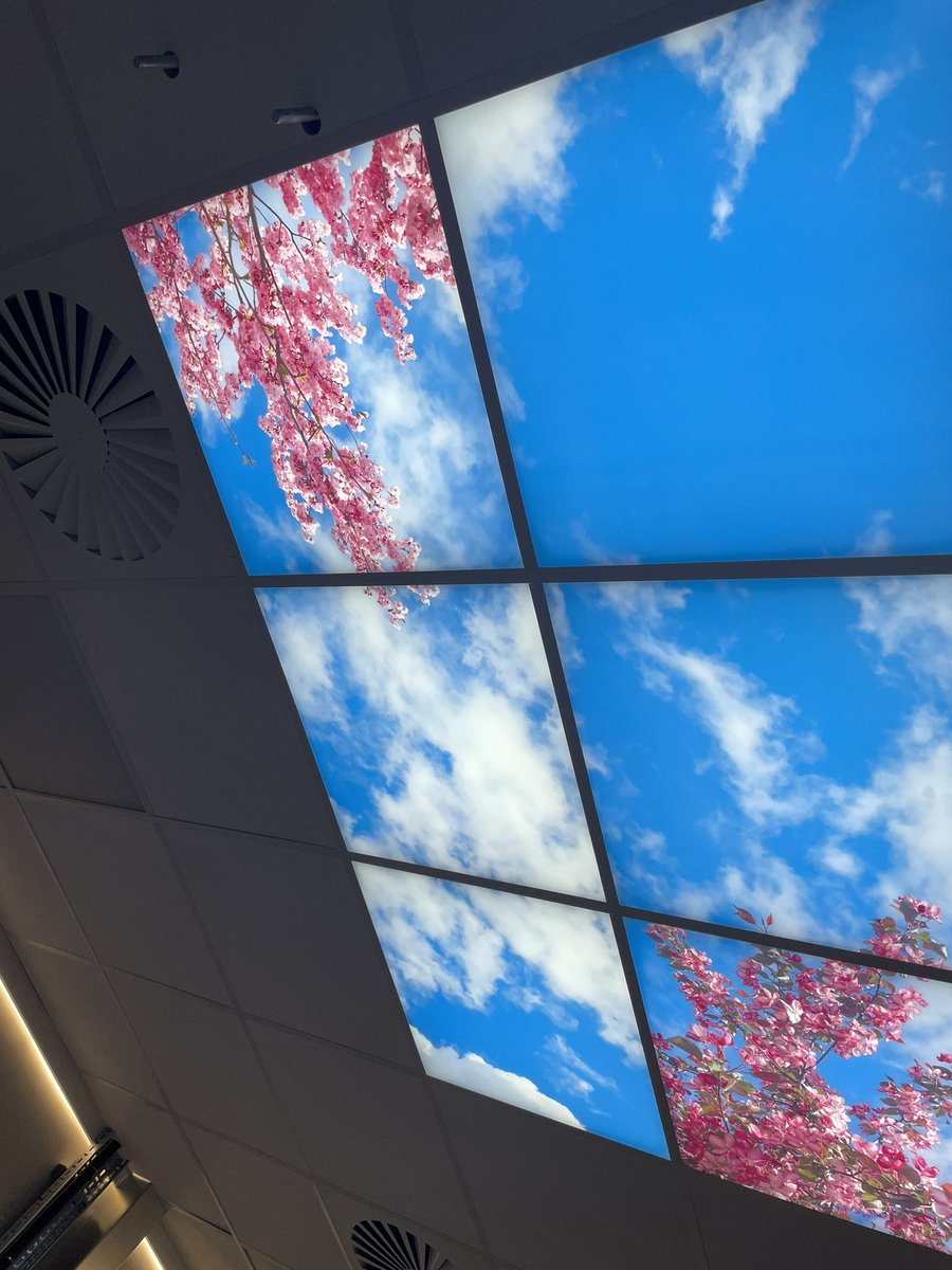 aimalade's tweet image. Exciting first glances today of our fabulous new imaging department the future is bright &amp;amp; beautiful! @LiverpoolWomens working with our super partners @TilburyNorth @SiemensHealth @LivHospitals #comingsoon #loading