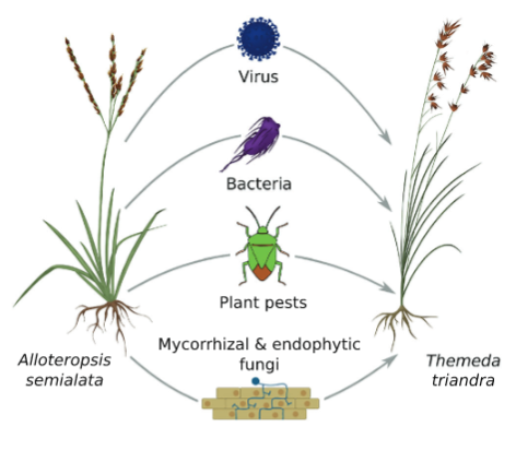 Wayne Parrott tweet media