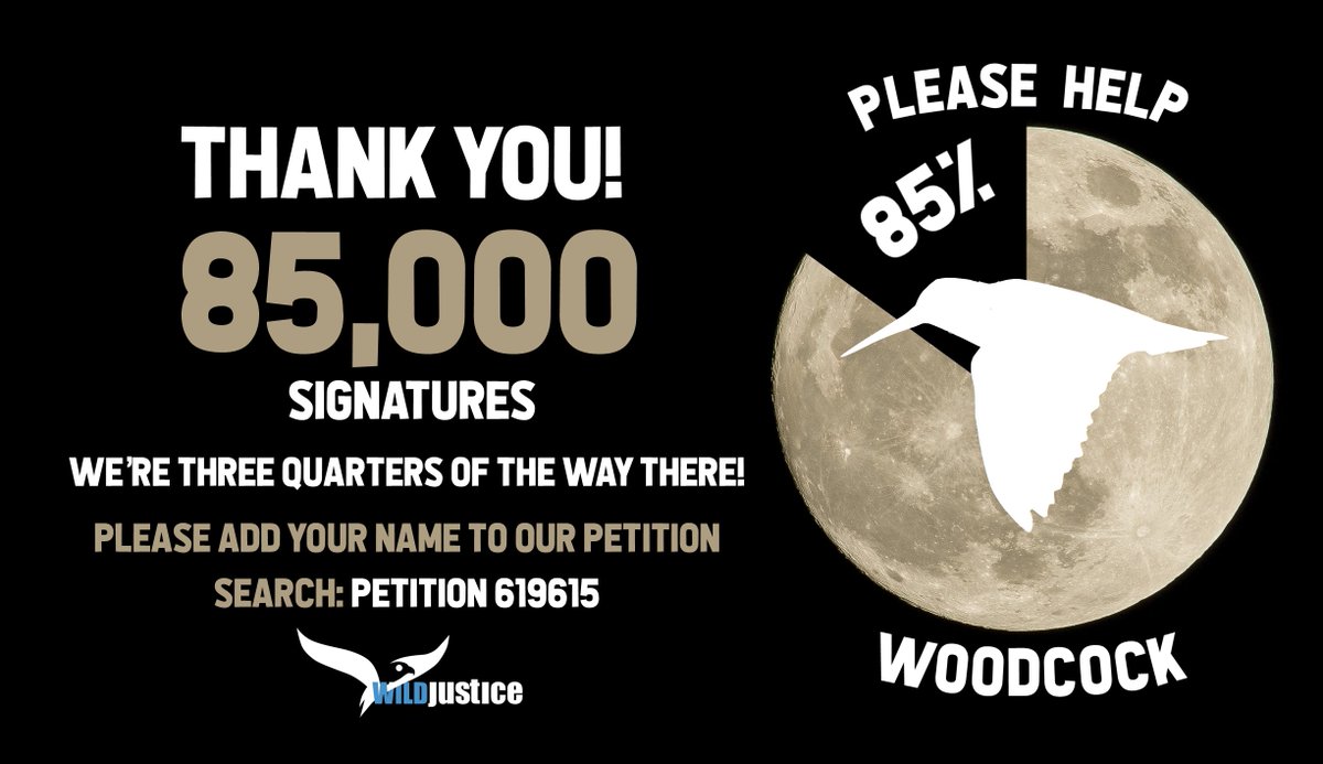 This evening we reached 85,000 signatures on our Woodcock petition! Thank you - we're blown away. For the best chance of seeing the change in legislation that we want, we need 100,000 signatures, so please keep signing and sharing! petition.parliament.uk/petitions/6196…