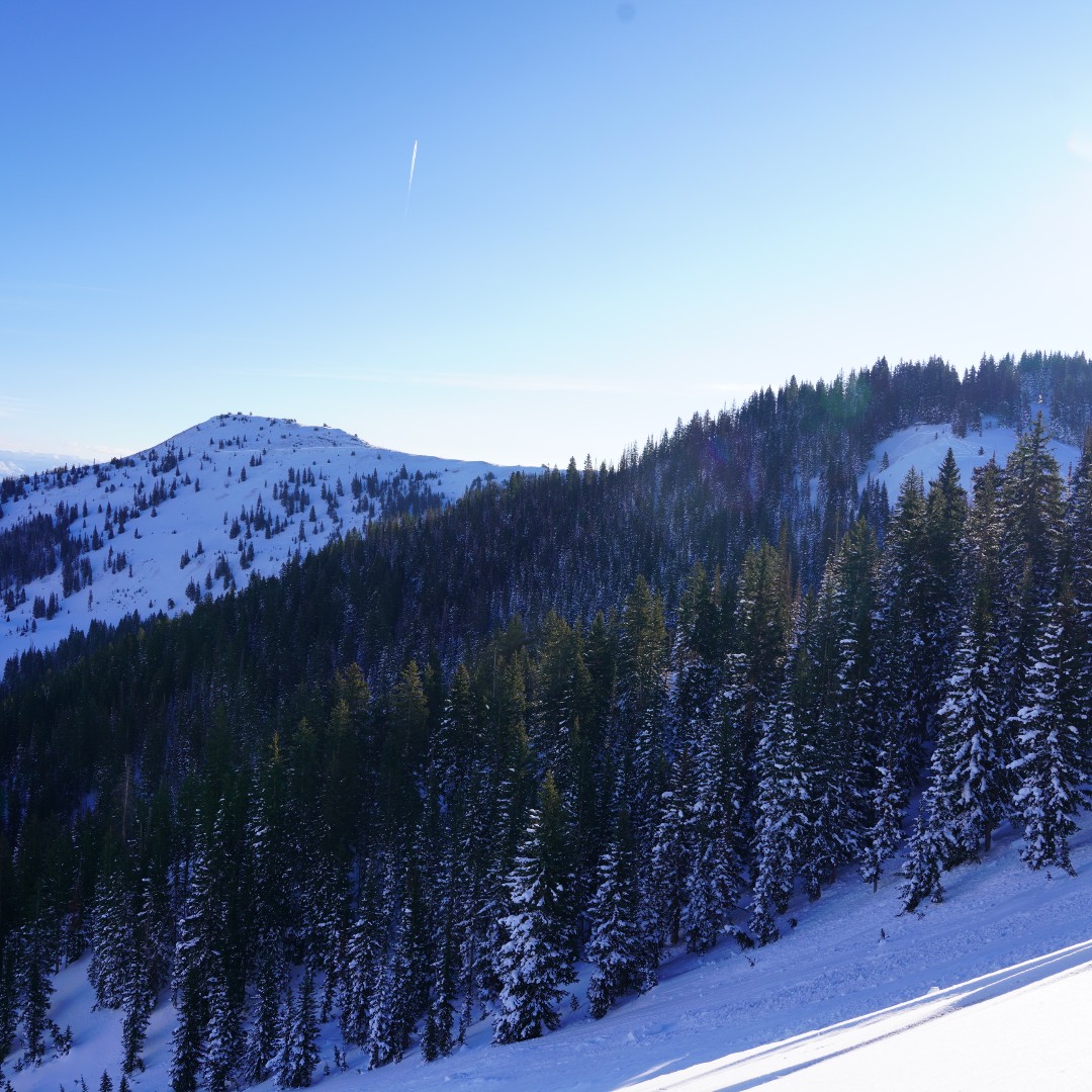 Park City Mountain tweet media