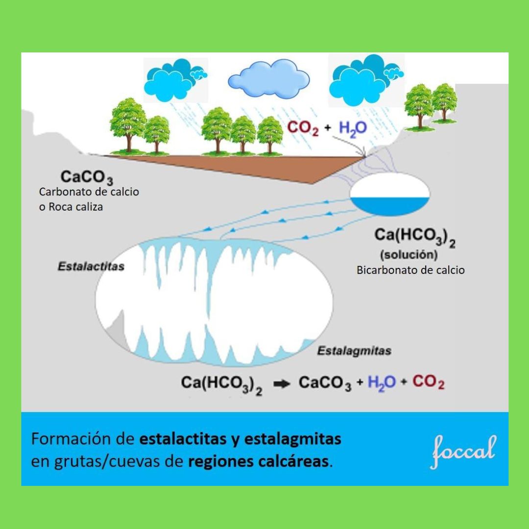 #estalactitas #estalagmitas #grutas #cuevas #calcareas #calcáreas #carbonatodecalcio #bicarbonatodecalcio #rocacaliza
