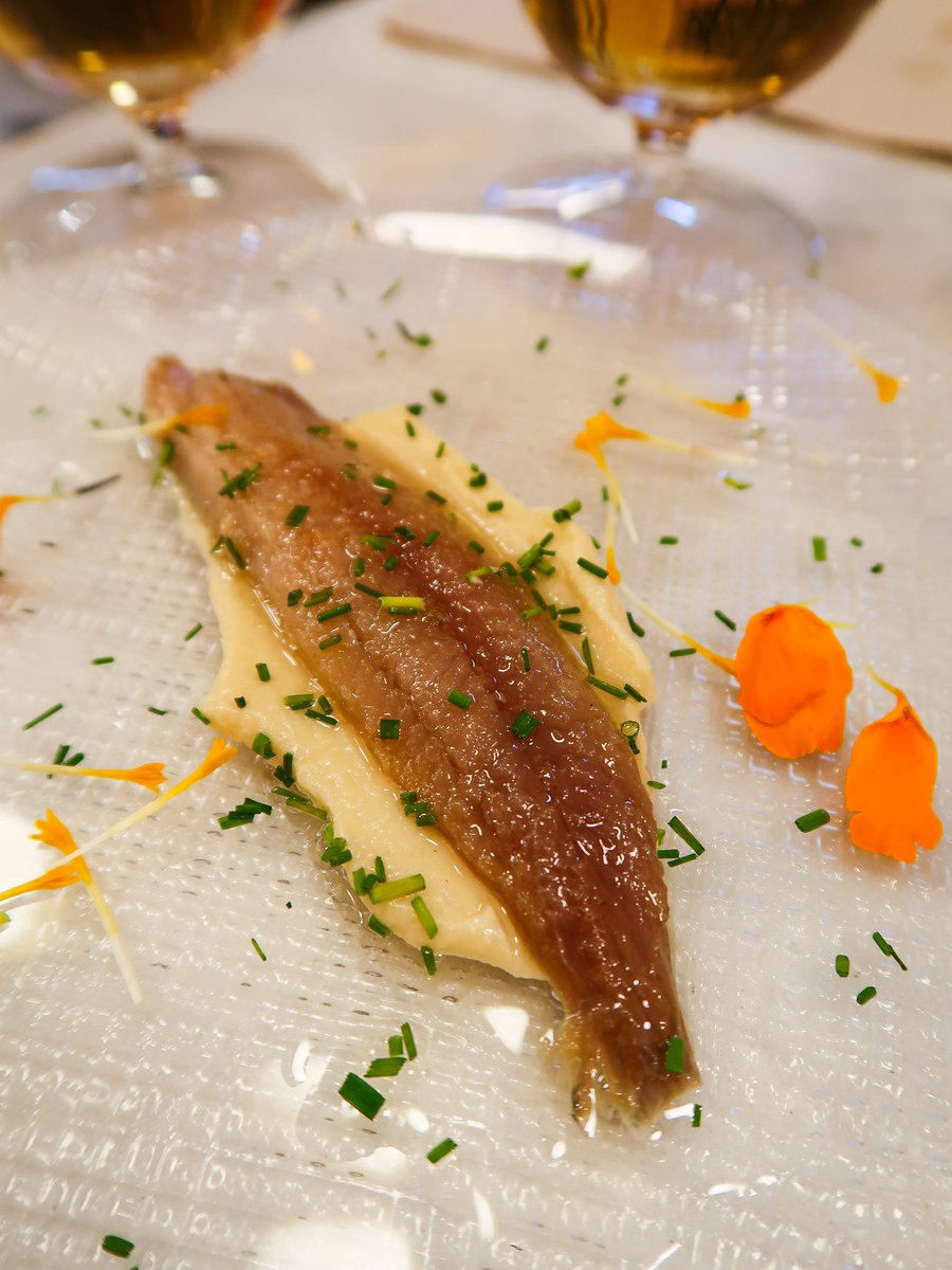 Comer, qué gran placer tweet media