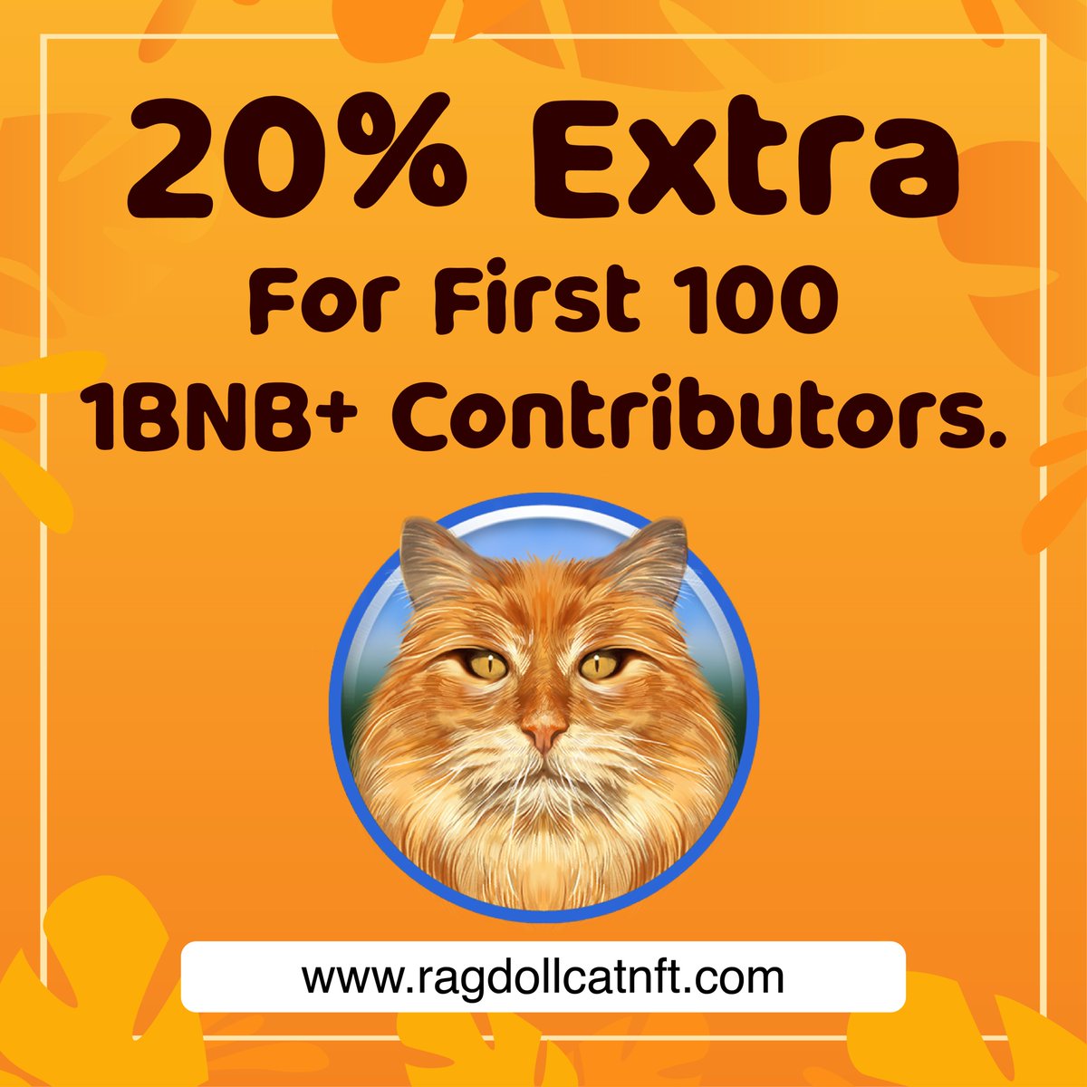RagdollCat NFT tweet media