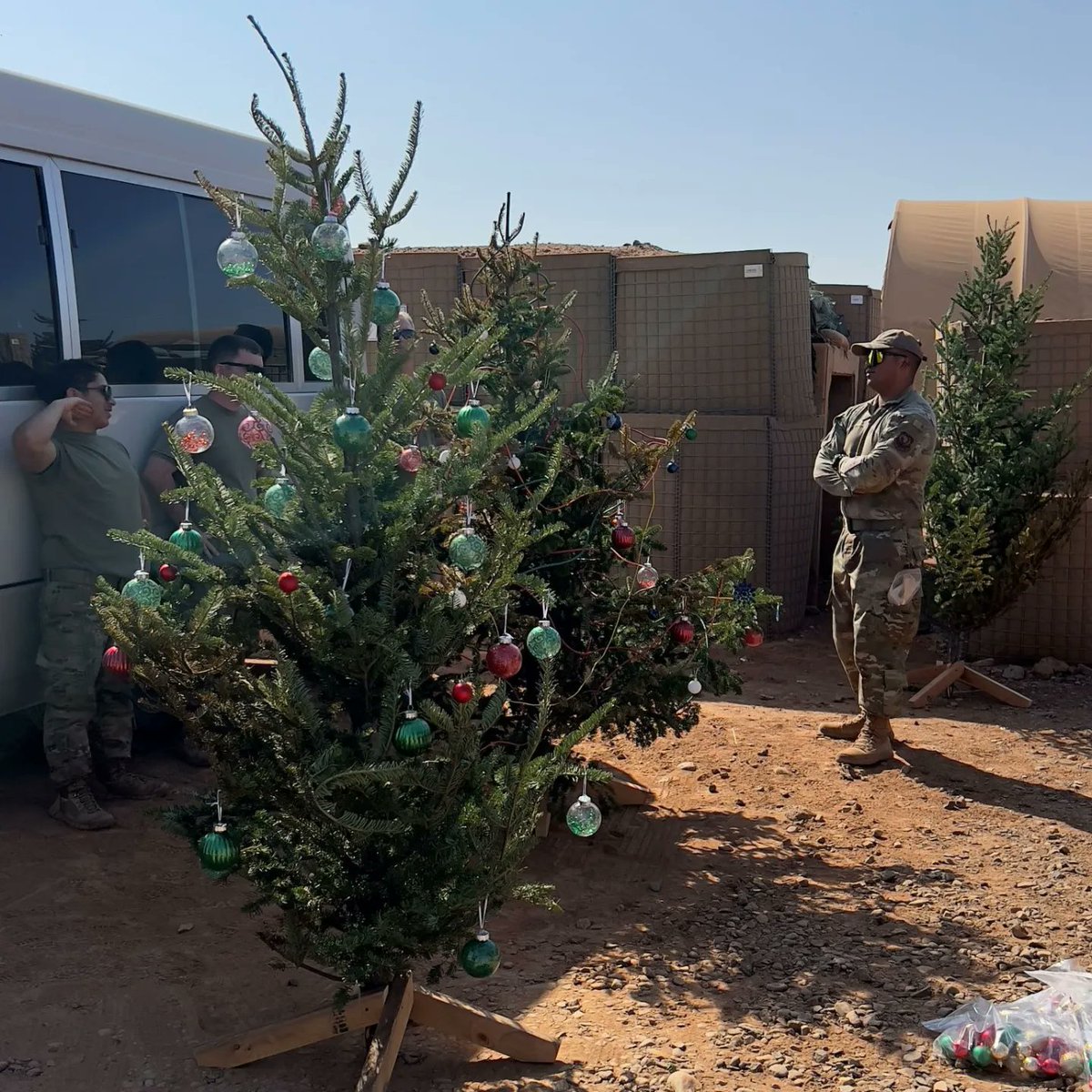 DeesNursery's tweet photo. Trees For Troops 2022. 
Christmas trees making it to US bases. These are Christmas trees in Djibouti Africa 2022. DHL getting the trees to some very remote places for the US Military to enjoy this Christmas.#DHL #DHLExpress #Christmas2022 #TreesForTroops #TreesforTroops2022 https://t.co/Xsl8vGAHRd