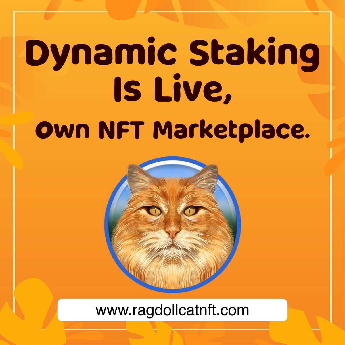 RagdollCat NFT tweet media