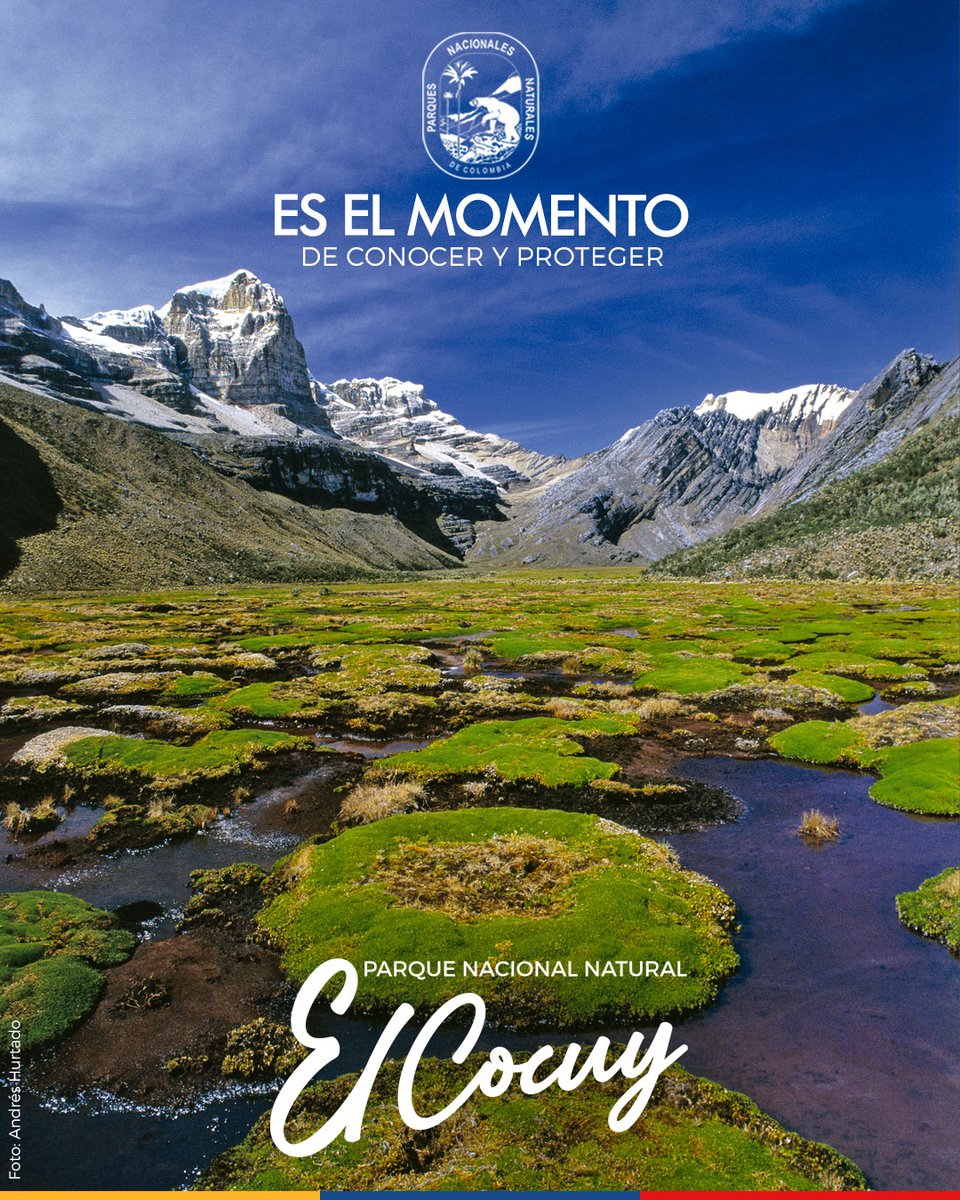 ParquesColombia's tweet photo. #EsElMomento de conocer y proteger el Parque Nacional Natural El Cocuy 🏔️un área protegida perfecta para caminar y disfrutar de su biodiversidad asociada a la alta montaña.

Cómo llegar y recomendaciones➡️
https://t.co/Nh6f5GUxCZ https://t.co/XLq6rNK34T