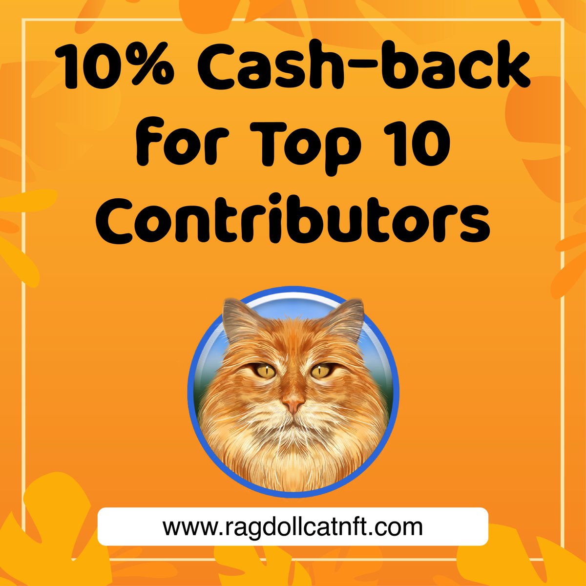 RagdollCat NFT tweet media