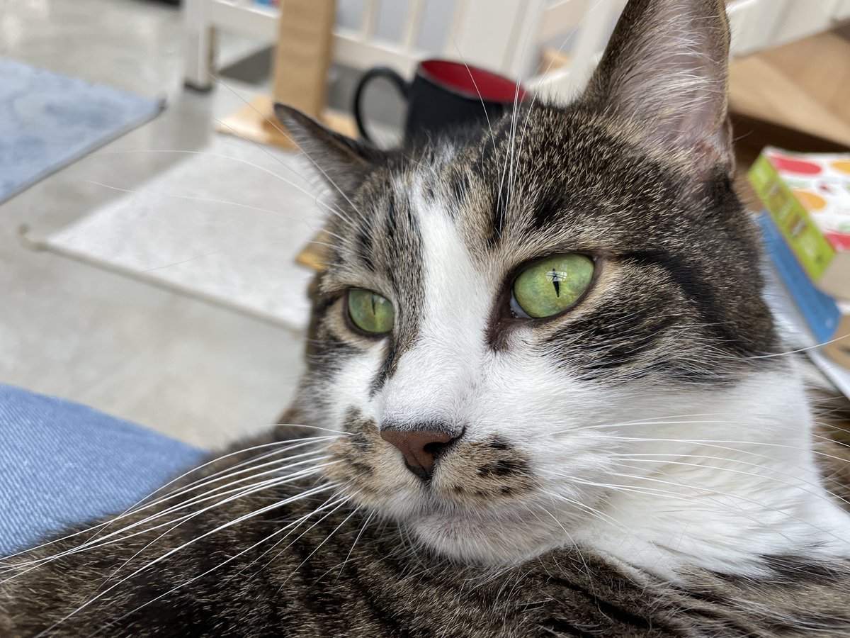 George Everding tweet media