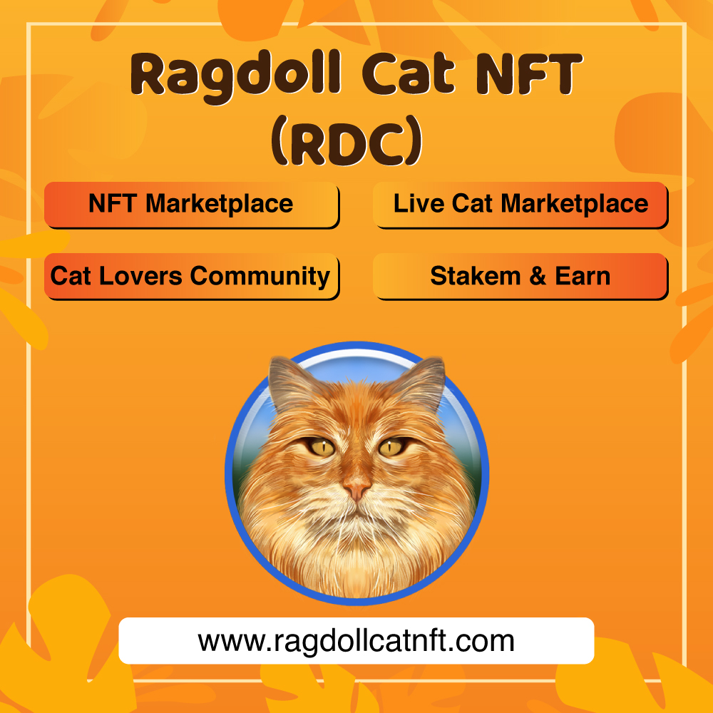 RagdollCat NFT tweet media