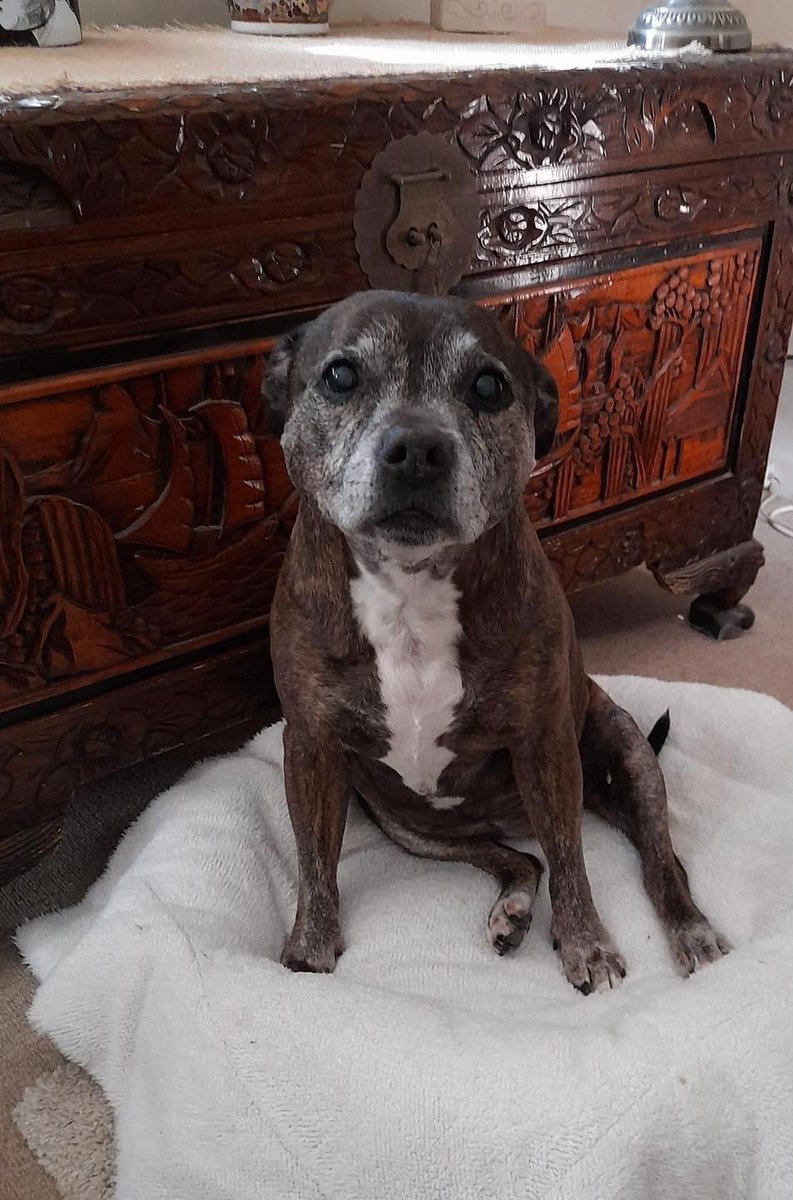 Hi,, today is my 19th birthday 🎉🎂🥀
Mikee ♥️