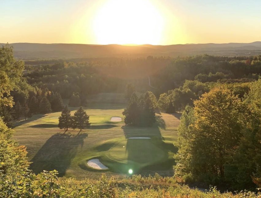 Andrew McQuade tweet media