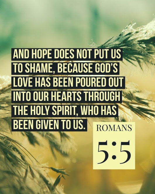 DailyWalkDevo's tweet image. Romans 5:5

“Now hope does not disappoint, because the love of God has been poured out in our hearts by the Holy Spirit [which] was given to us.