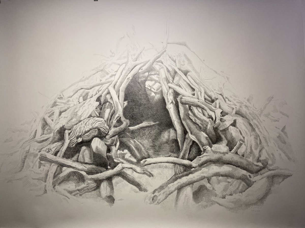 🇬🇧 La 12 Star Gallery en la sede de <a href="/EUdelegationUK/">European Union in the UK</a> en el corazón Westminster en Londres expone una muestra del trabajo de cuatro magníficas artistas españolas <a href="/SusanaSanroman/">Susana Sanroman</a> <a href="/mjarceo/">Maria Jose Arceo</a> <a href="/silvialerin/">SILVIA LERIN</a> &amp; María Gimeno. Una gran idea de Antonio Molina-Vázquez <a href="/Spain_NOW/">Spain NOW!</a> #arte #Spain