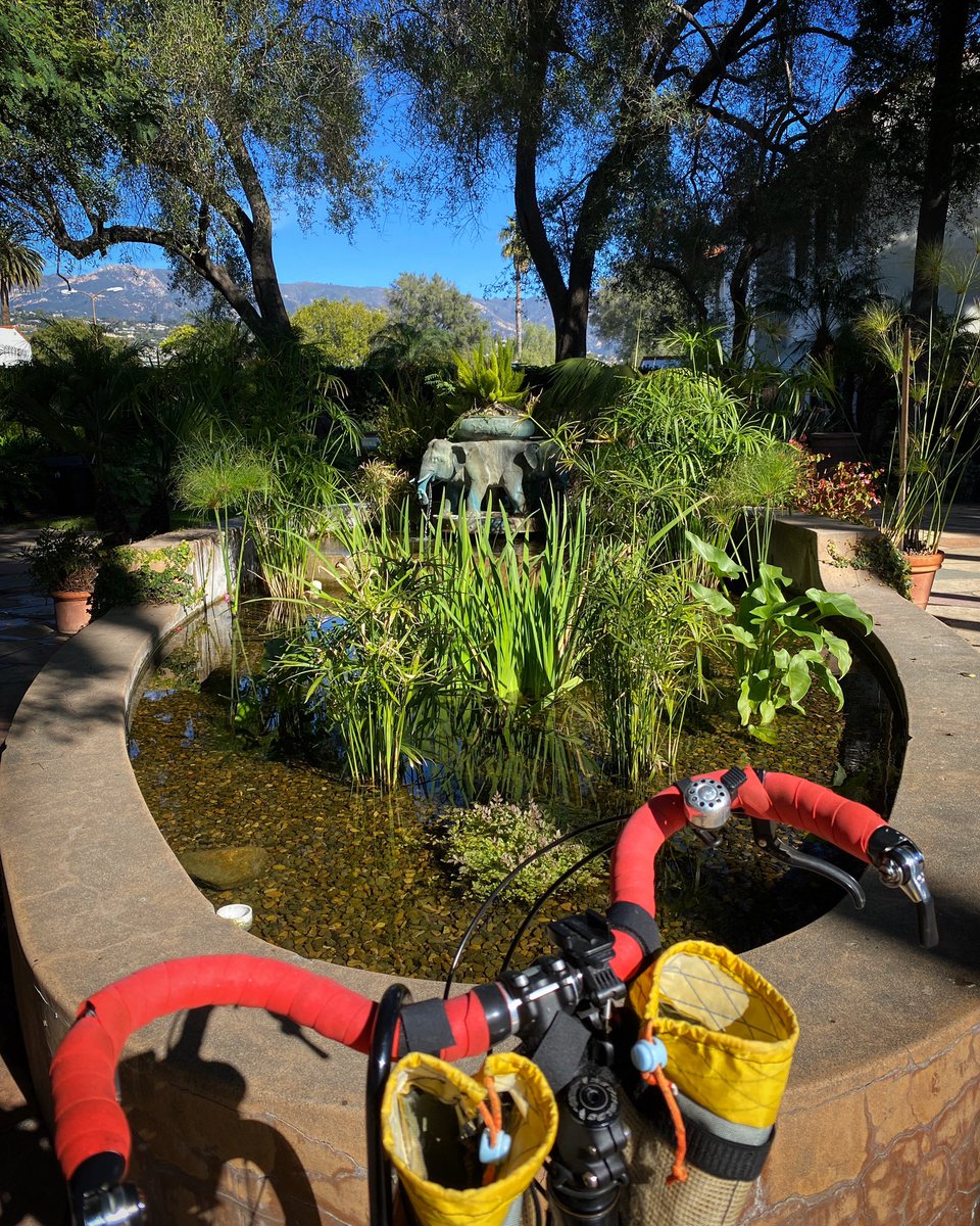 #ViewFromTheHandlebars  #BikeSantaBarbara #SantaBarbara #cycling