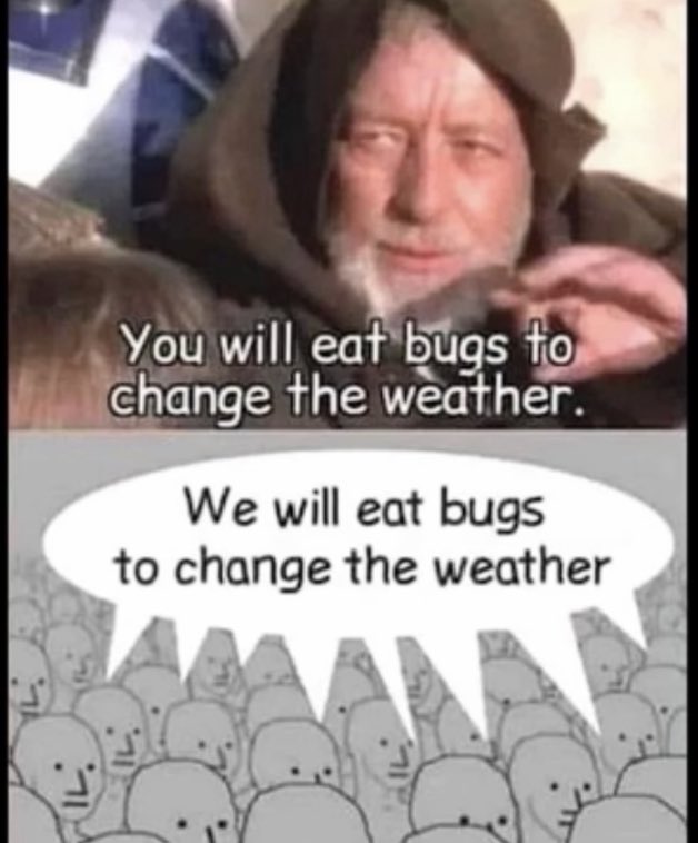 Wild Honey (aka Honey Bones) (@wildhoney808) on Twitter photo 