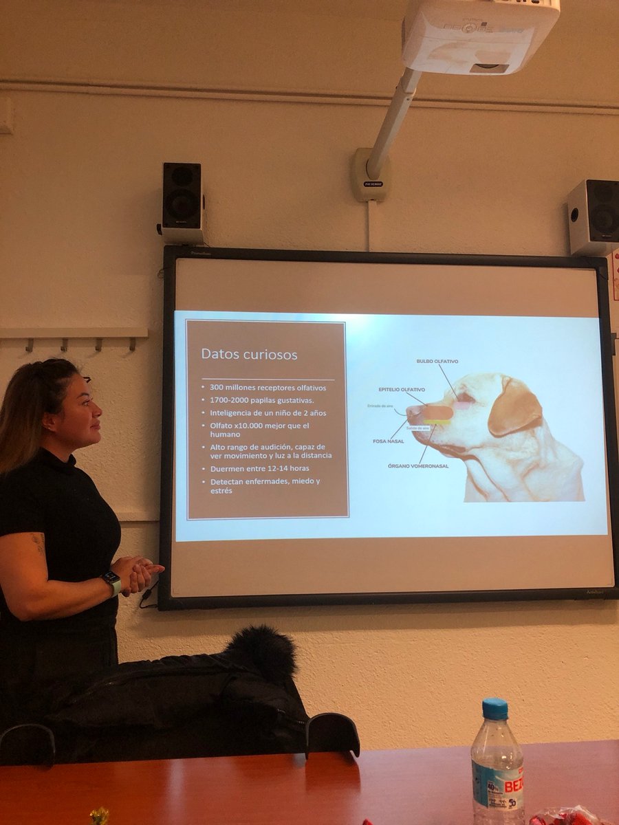 CEPA_Getafe's tweet photo. Nuestros alumnos de Iniciales presentando proyectos de Ciencias Naturales. Han realizado una investigación y una exposición sobre un animal  

¡Lo han hecho fenomenal! 

#cepa #cepagetafe #getafe #educacionparaadultos #enseñanzasiniciales #proyectos #ciencias #animalesdelmundo https://t.co/hen1PppgEn