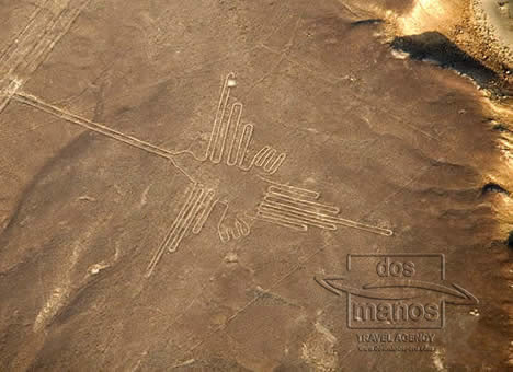 traveltoperu's tweet photo. Have you heard of the mysterious Nazca lines before then with this tour you can get a great view of the lines https://t.co/TpoBZ4FHpO 
#Peru #dosmanosperu #discoverperu #travel #travelperu #Nazca https://t.co/18XaaYMHuH