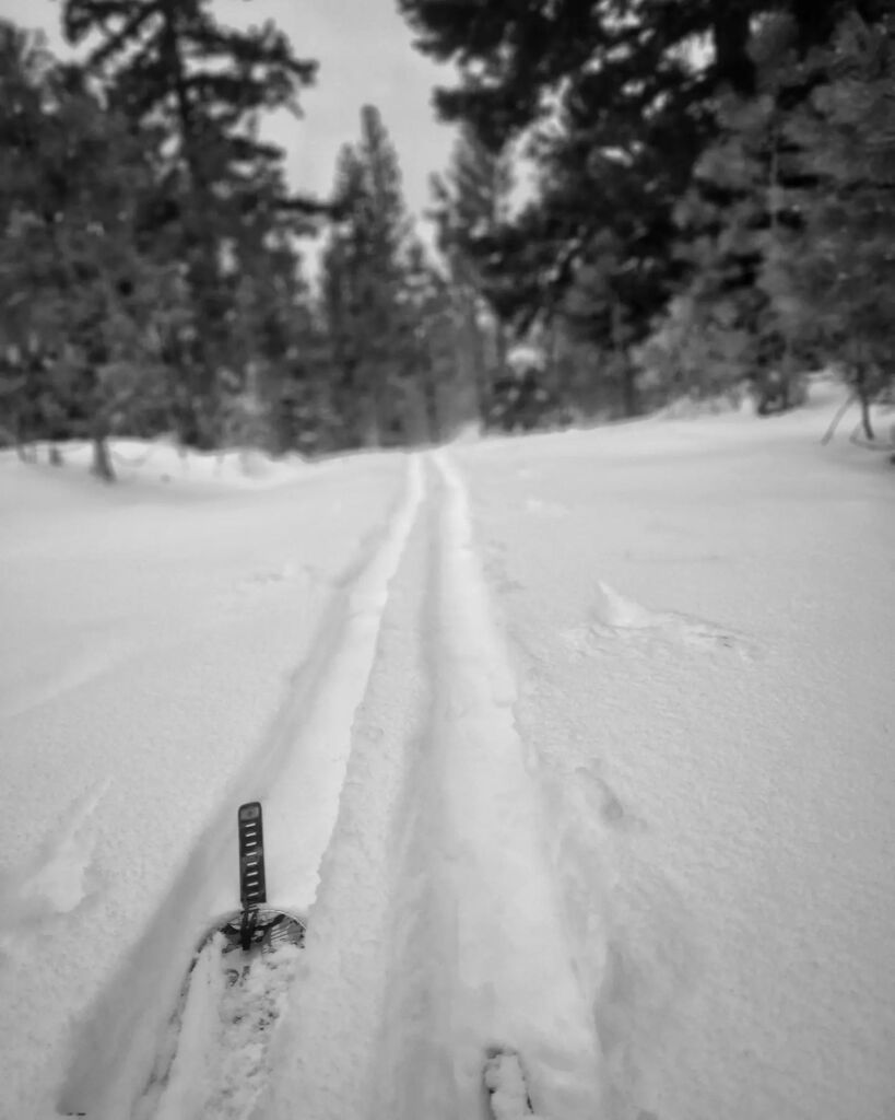 FullFaceAndy's tweet photo. Skiing is fun.

The last season I skied was 2014. Expense, convenience, stoke, other hobbies, life, etc may have gotten in the way. Just glad to get reacquainted with it now. Really my first favorite sport. Something I did with my grandpa and family my w… https://t.co/ec7ilz6WGB https://t.co/tUVA2aE6IY