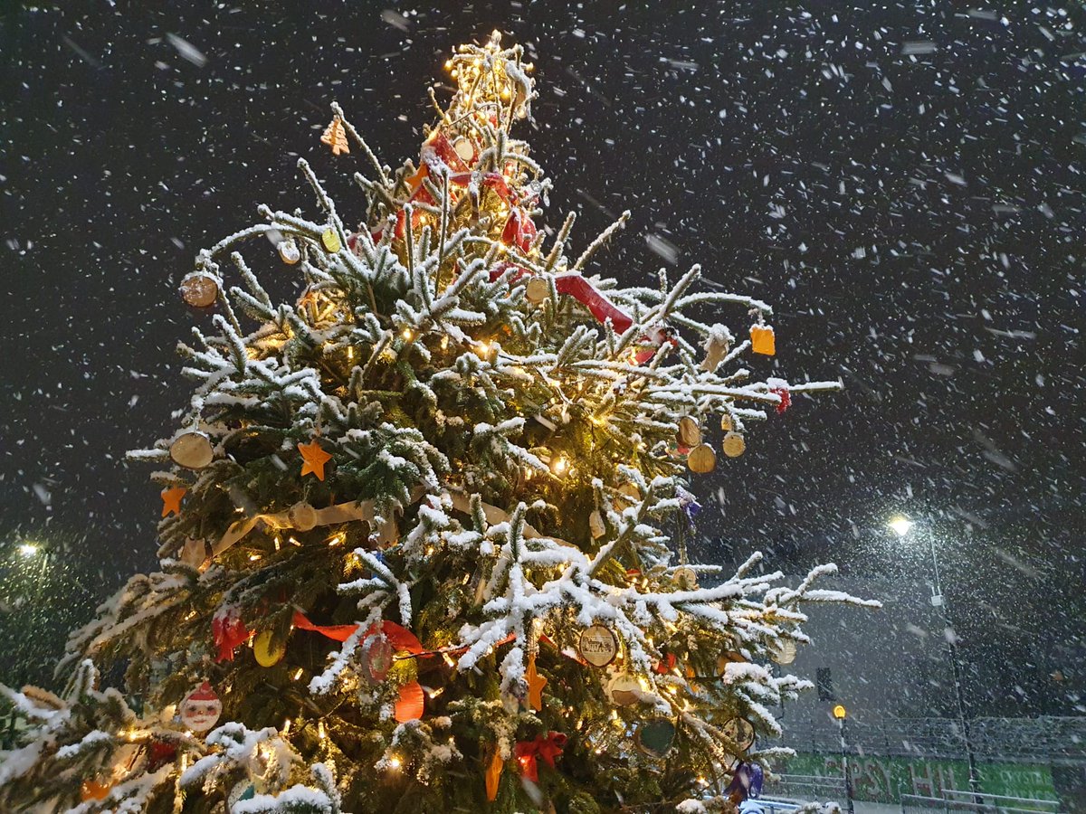 The last performance Tuesday 20th December at 7pm at the Gipsy Hill Christmas Tree.

Christmas Carols!!!!

Come and join us and the Crystal Palace Community Choir

It is going to be fantastic!!

#gipsyhill
#lovegipsyhill