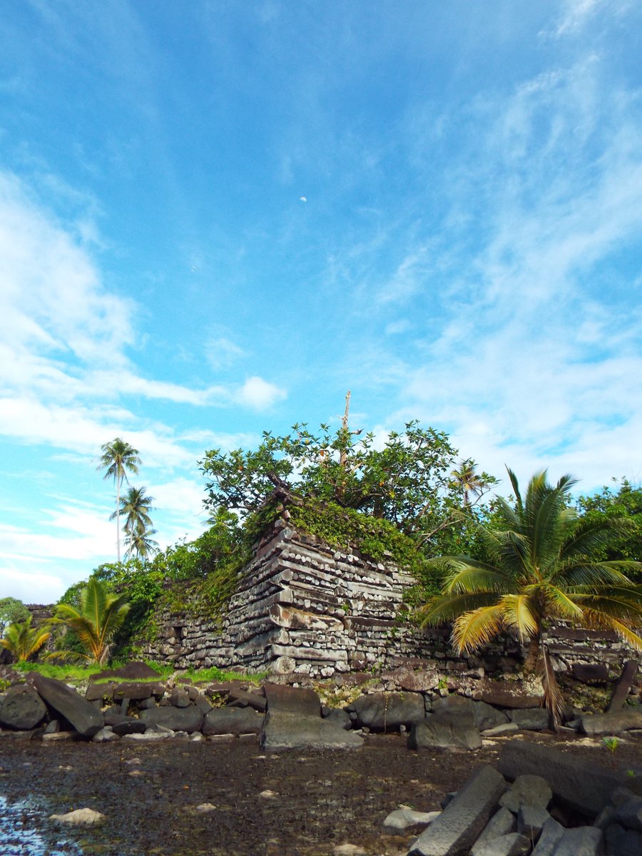 Juliet Sefton (is not here much anymore) (@seftongeo) on Twitter photo PART II
Pohnpei is home to Nan Madol, a UNESCO World Heritage Site. It is an array of buildings made from black basalt columns and crushed coral nearly 1000 years ago (an incredible story in its own right, see <a href="/m_d_mccoy/">Mark D. McCoy</a> 2016 paper)
Photo: Osamu Kataoka PART II
Pohnpei is home to Nan Madol, a UNESCO World Heritage Site. It is an array of buildings made from black basalt columns and crushed coral nearly 1000 years ago (an incredible story in its own right, see <a href="/m_d_mccoy/">Mark D. McCoy</a> 2016 paper)
Photo: Osamu Kataoka