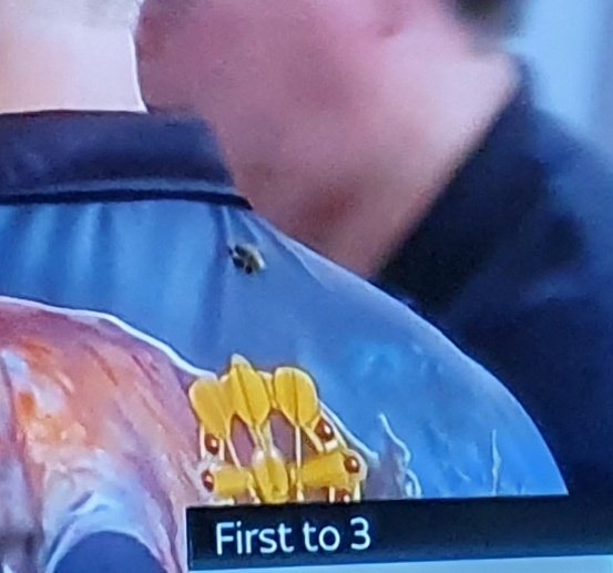 Seehasinho's tweet photo. The holy bee @ElmarPaulke @TheCube180 #dartzn https://t.co/ZXtxgexsLa