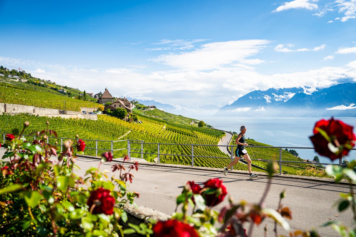 OC Sport tweet media