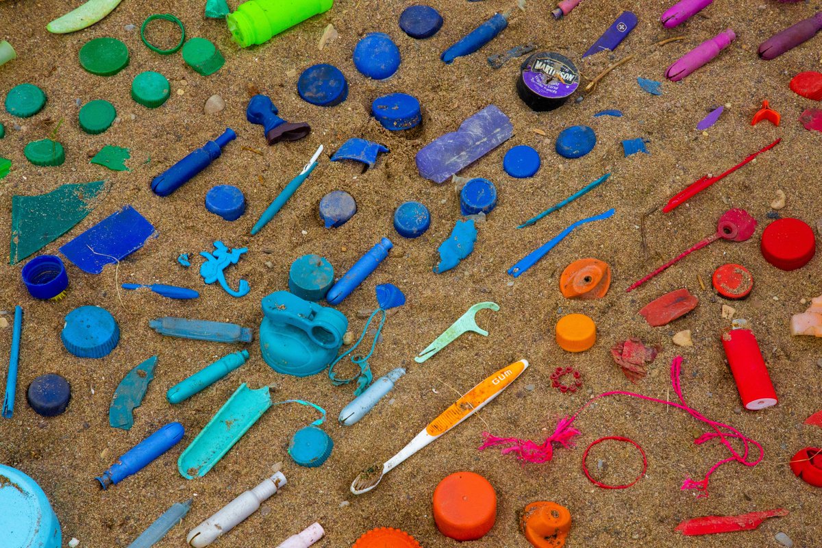 TXAdoptABeach's tweet photo. Washed Ashore, an art exhibit of incredible wildlife sculptures made of beach trash used to educate the public about plastic pollution, is free to view in Galveston until March 5, 2023.  
https://t.co/zQ1SZ27W9Y https://t.co/b8yOol7C3s