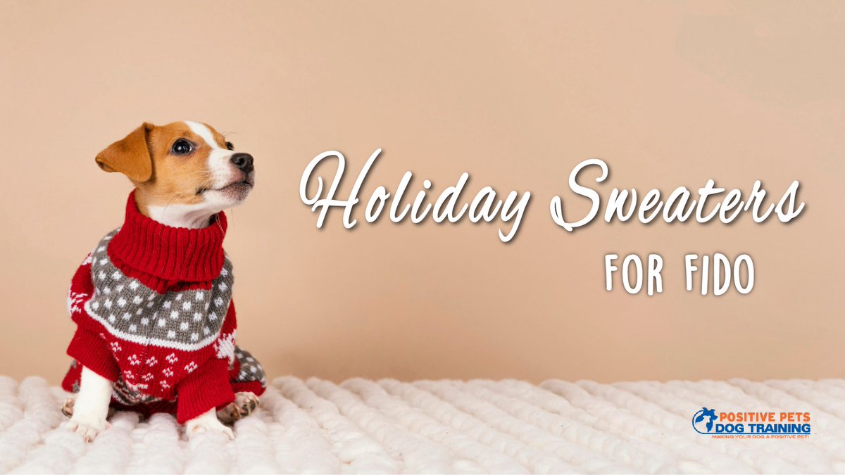 The Best Holiday Sweaters for Dogs | positivepetsboise.com/the-best-holid…