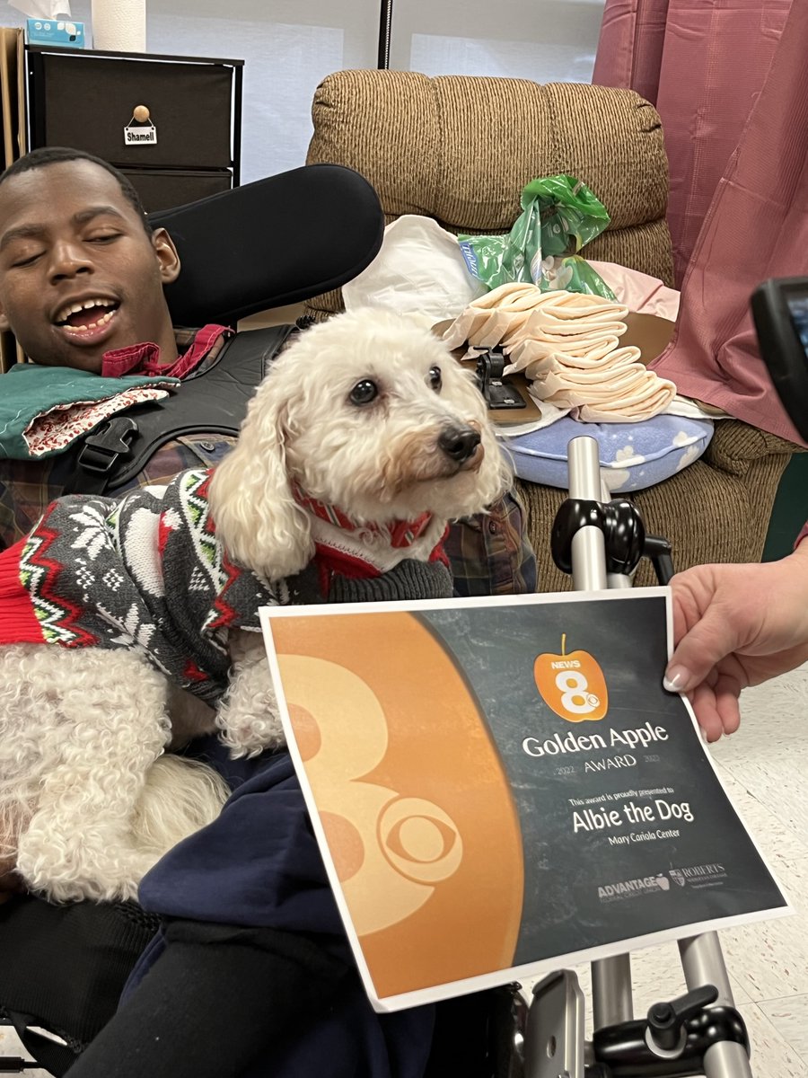 marycariola's tweet photo. Congratulations to #SpecialEducation Teacher Kathy Lee who was recognized by @katrinairwin  @News_8    with a Golden Apple Award along with Kathy’s classroom therapy dog Albie! Congratulations! Watch the story on News 8 on Tuesday, Dec. 27. #ROC #goldenapple #recognition https://t.co/Tts468OJc1