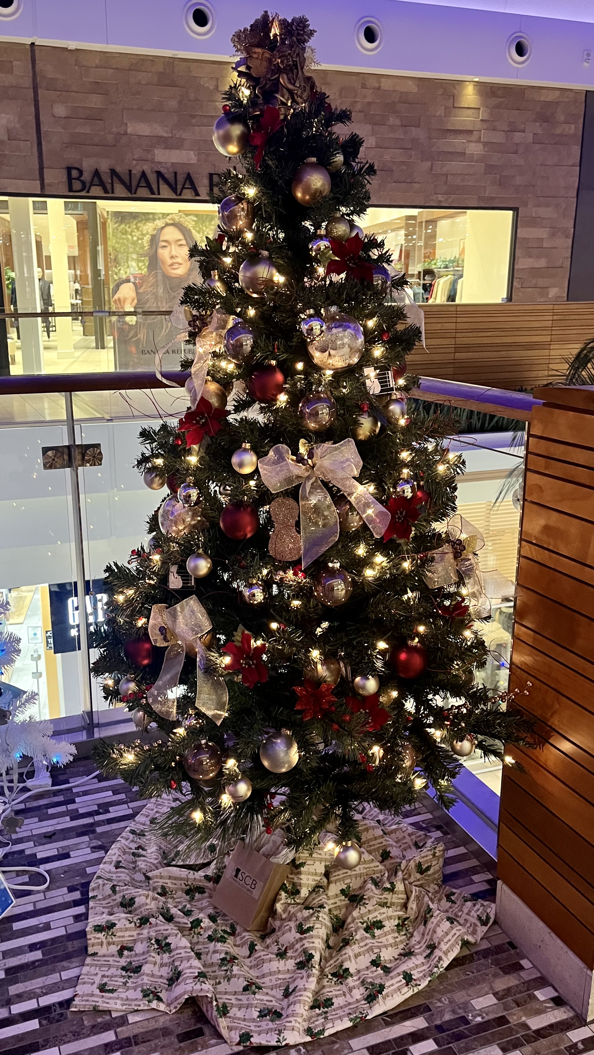 Strings Con Brio (stringsconbrio) / Twitter