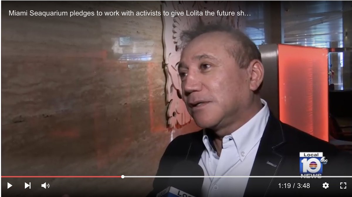 Wonderful news: Miami Seaquarium says "yes" to Sk'aliCh'elh-tenaut's homecoming - mailchi.mp/sacredsea.org/…