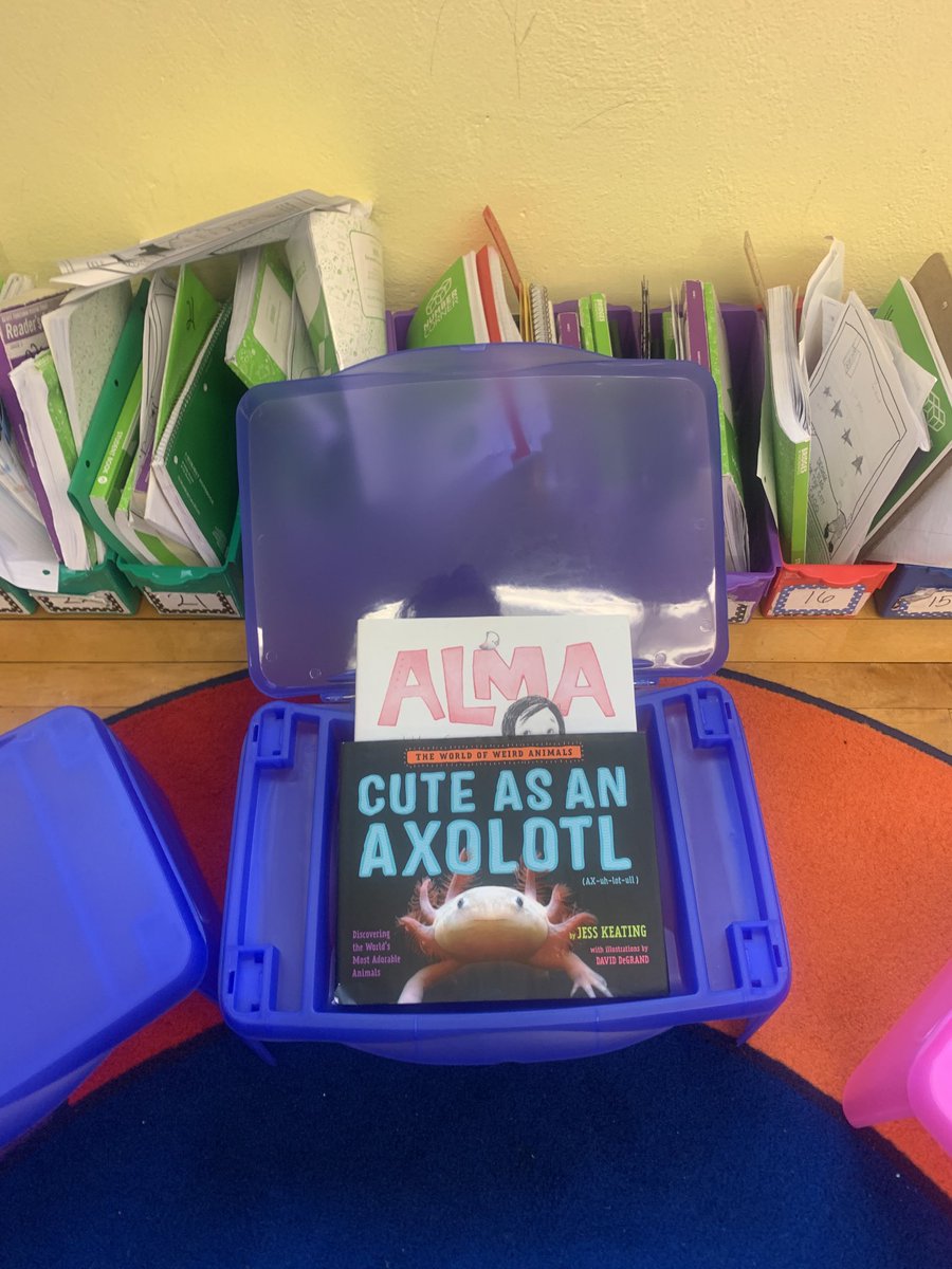 smoylai's tweet photo. Look what arrived in our classroom today ? Thank you Ms Nakayama . Third graders really appreciate this ❤️#budlongbeautiful #classroom wishlist https://t.co/QVGVQ6913P