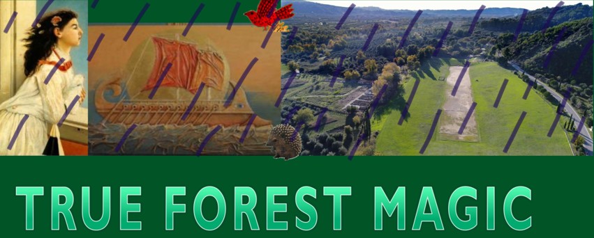 nikilambro's tweet photo. I just submitted "TRUE FOREST MAGIC" to @film_cannes True Forest Magic #Animation #supershort #shortfilms #writingcommunity #eoraka #animation
#screenwriter #amwriting #actionadventure
#fantasy ✍️ #5amwritersclub 🌞 #screenwriters #wggb #story #scriptmermaid 👁🎥 #womenfilmmakers https://t.co/lQNf8zlNAI