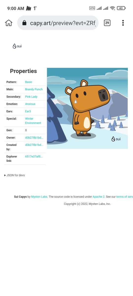 pyaeson93451504's tweet photo. 🎁 I just unboxed my Sui Holiday Capy! ❄️ 
Create your own Capy here:  https://t.co/uiAVIsVe0I #CapyHolidays https://t.co/60Uhhd0sRO