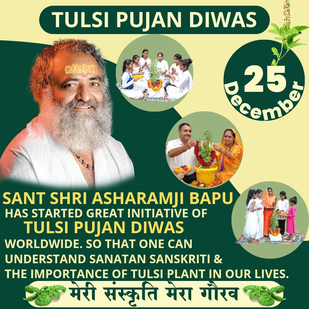 Tulsi is an Auspicious plant in the Hindu Tradition With Huge Medicinal &amp; Spiritual Benefits.

Sanatan Saviour Sant Shri Asharamji Bapu initiated 25 December Tulsi Pujan Diwas to Revive Vedic Culture.

Let's celebrate our tradition..
#मेरी_संस्कृति_मेरा_गौरव