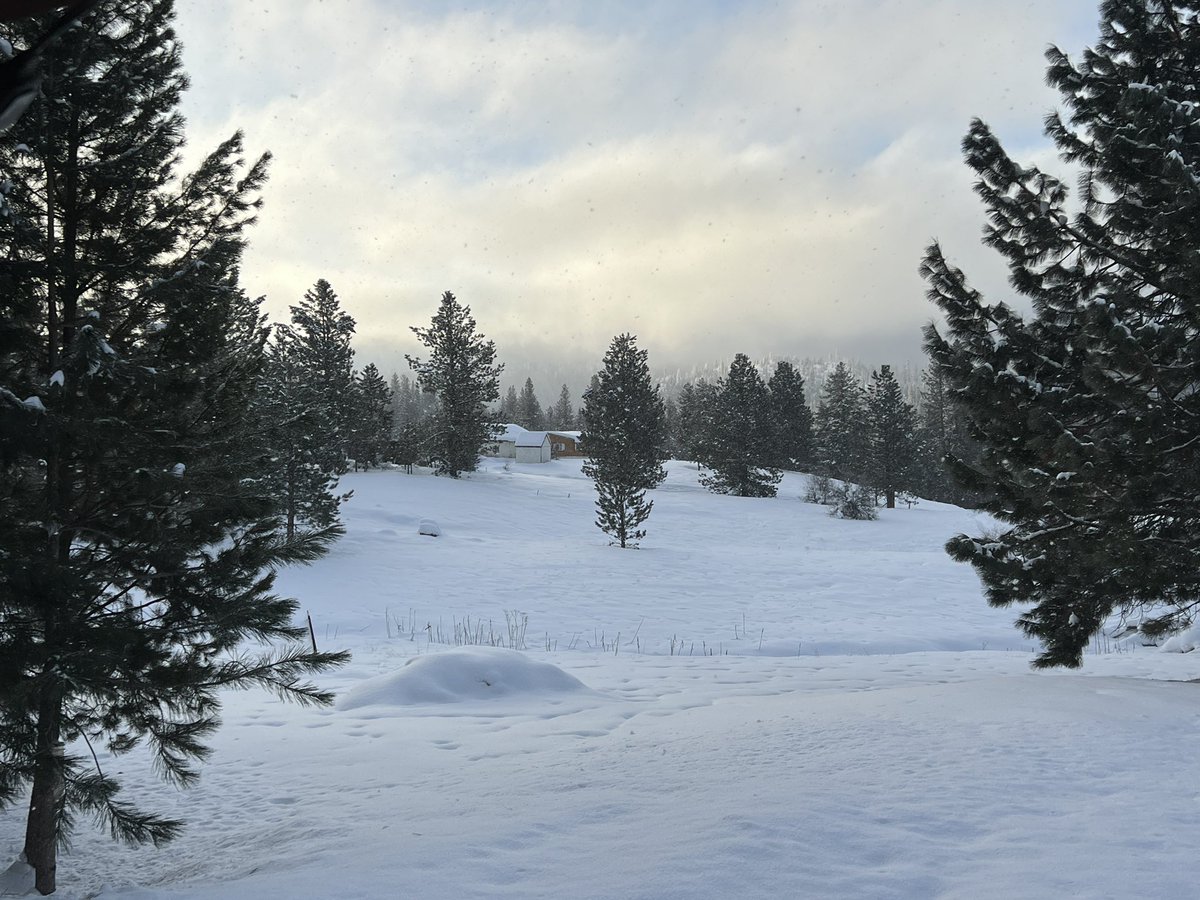 Snow snow &amp; more snow! Let me say before the rush. My fandom family means a lot to me. In fact, you changed my life.I finished my book &amp; submitted it. I’ve met so many amazing folks.New family all. Merriest of Christmases to u all. 🥰