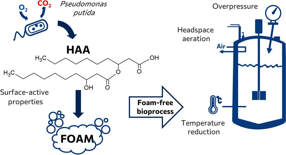 Discover_Jrnls's tweet photo. How to realize #foam-free production of bipolar substances with low technical effort? Check this interesting article published in Discover Chemical Engineering.
#Pseudomonasputida

https://t.co/LHGqnSbccN https://t.co/lfmYH3cxAW