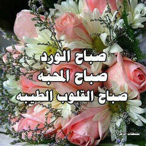 (ارشادِ باری تعالٰیﷻ)
 *فَاٰتٰىهُمُ  اللّٰهُ  ثَوَابَ  الدُّنْیَا  وَ حُسْنَ  ثَوَابِ  الْاٰخِرَةِؕ-وَ  اللّٰهُ  یُحِبُّ  الْمُحْسِنِیْنَ(148)
✨پھر اللہ نے ان کو دنیا کا ثواب اورآخرت کا عمدہ بدلہ دیا، اور اللہ نیکوں کو پسند کرتا ہے
آل عمران  آیت 148
#خاتم_النبیین_محمدﷺ
