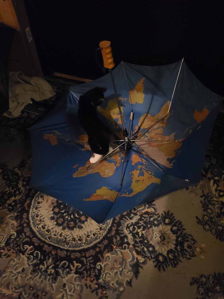 JenChere's tweet photo. Someone has decided beating up the snow covered umbrella is worth giving the Christmas tree a break... https://t.co/wXfBnWUcXE