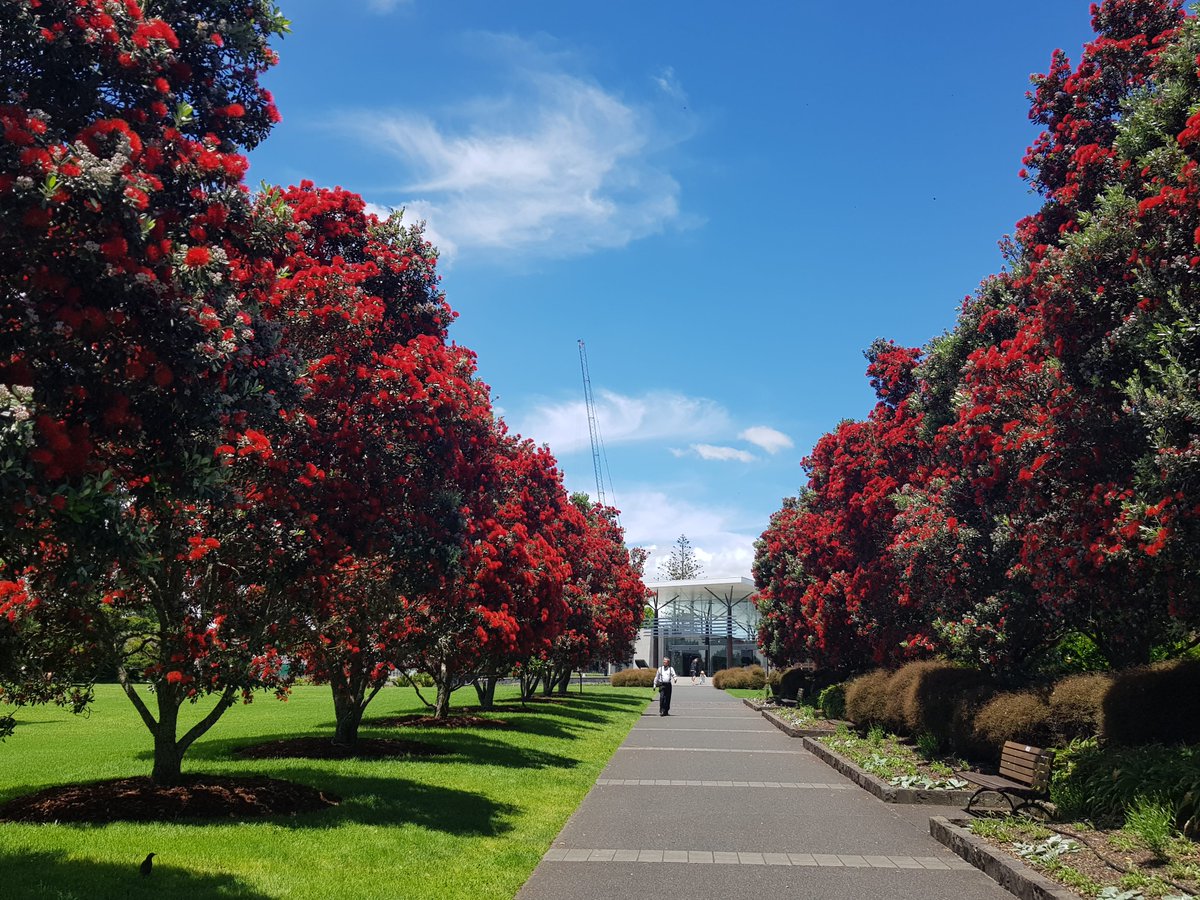 AklBotanicGrdns tweet media