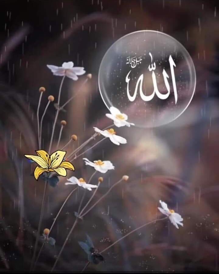 Cihânı bize mülk olarak verseler, 
Seher vakti aşk ile 
Bir Allah deyişimize değişmeyiz..!

Sabah’ul Hayr 🍁🍂