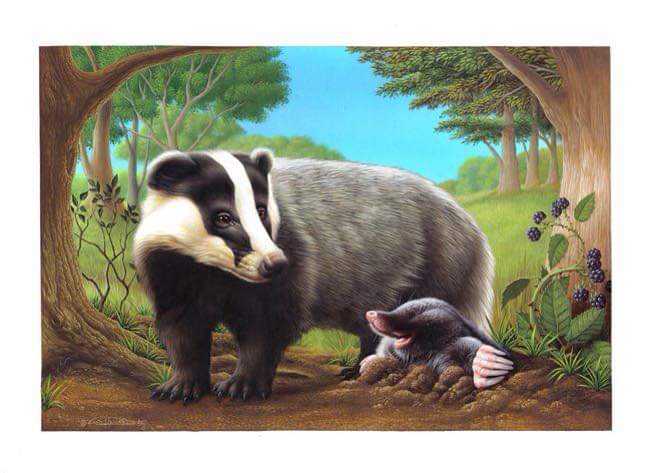 KevinRo18520435's tweet image. The Animals of Farthing Wood inspired a private commission from a few years ago.🤔🤔🤔🤔🤔  #history #Kwanzaa #illo_adventDay18 
Original: ColinHowardArt