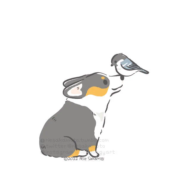 コーギーと鳥たちを描いてます#作品を載せて自分の作品を知ってもらおう 
