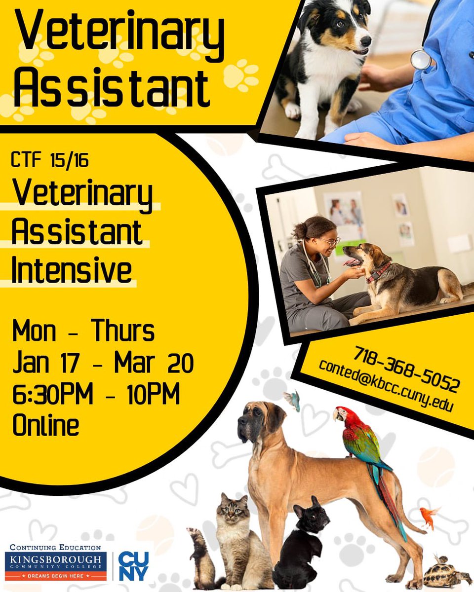 contedkcc's tweet photo. #veterinary https://t.co/VjTCBnJXqT