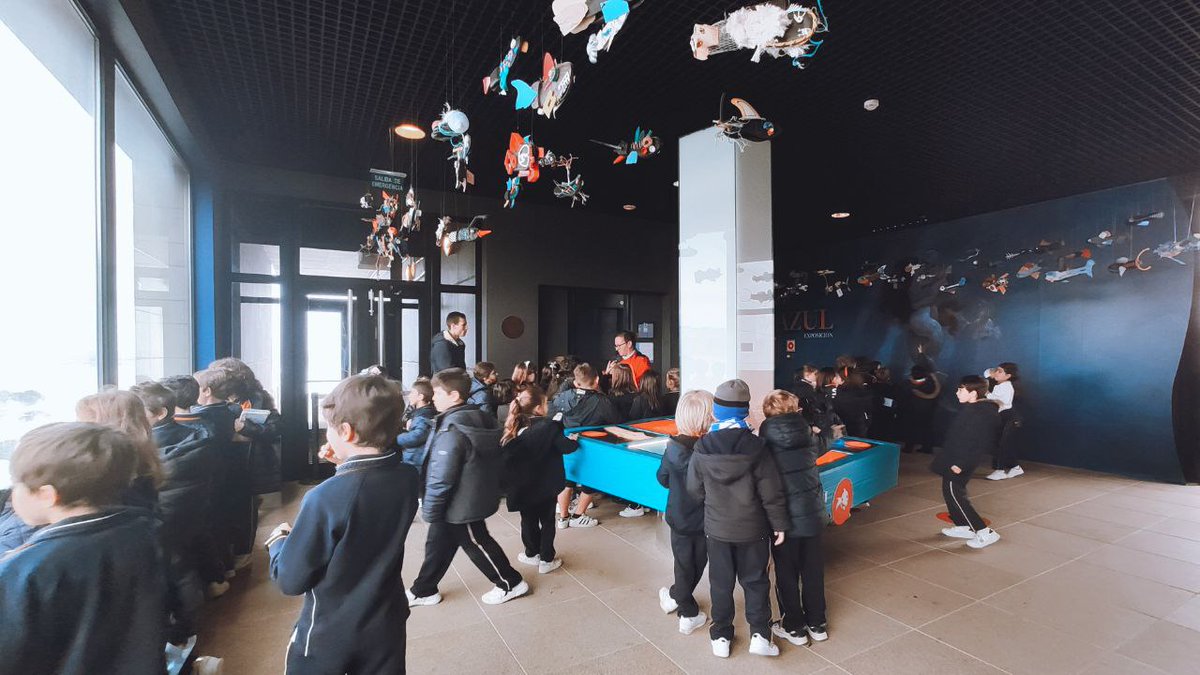 FranciscanasCor's tweet photo. 2ºde #primaria visitamos o #aquariumFinisterrae  @mc2coruna desexando estar na
sala 𝓝𝓪𝓾𝓽𝓲𝓵𝓾𝓼, onde coñecimos ao gran protagonista do acuario,𝓖𝓪𝓼𝓽ó𝓷, un tiburón touro
#somosfranciscanas #franciscanascoruña #visitacultural    #colexioplurilingüecoruña https://t.co/DH3RRr8XrE